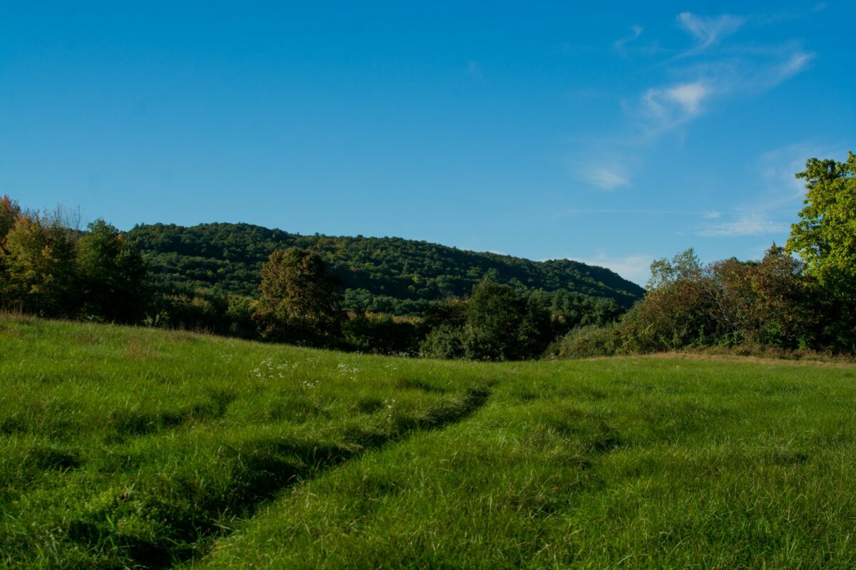 How to Sell Land Fast in Connecticut