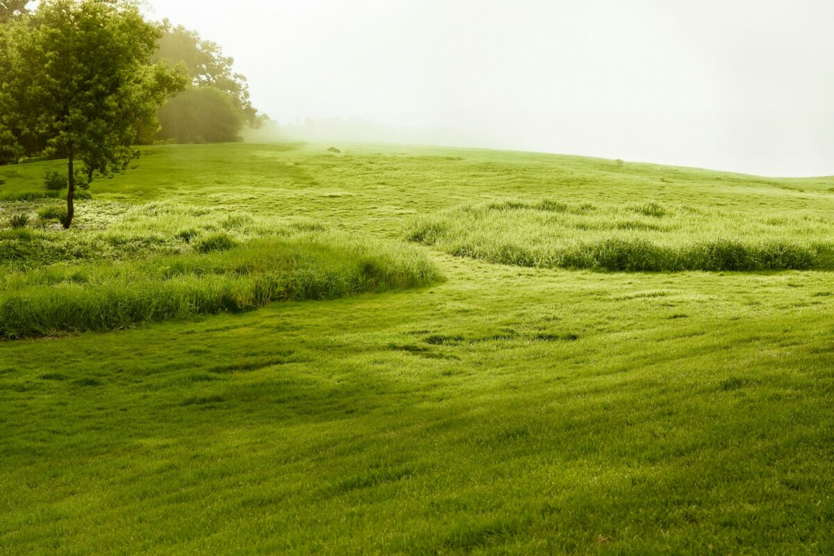 How to Sell Your Land in Delaware