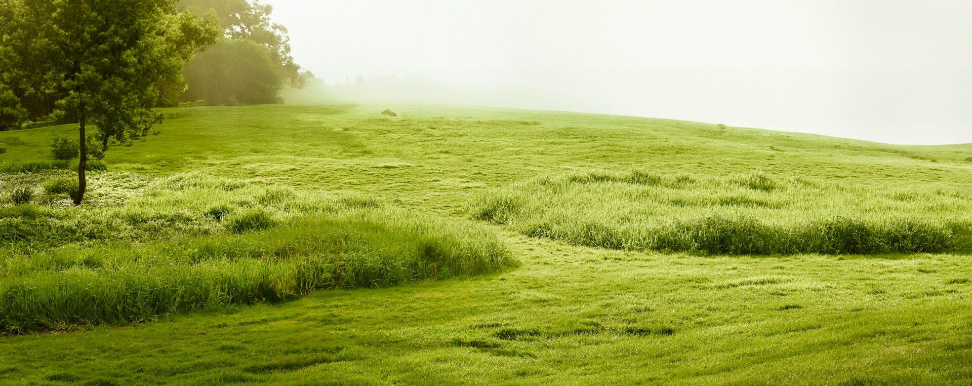 How to Sell Your Land in Delaware