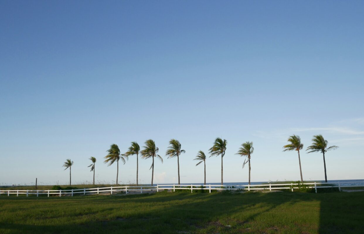 How to Sell Your Land in USA Florida