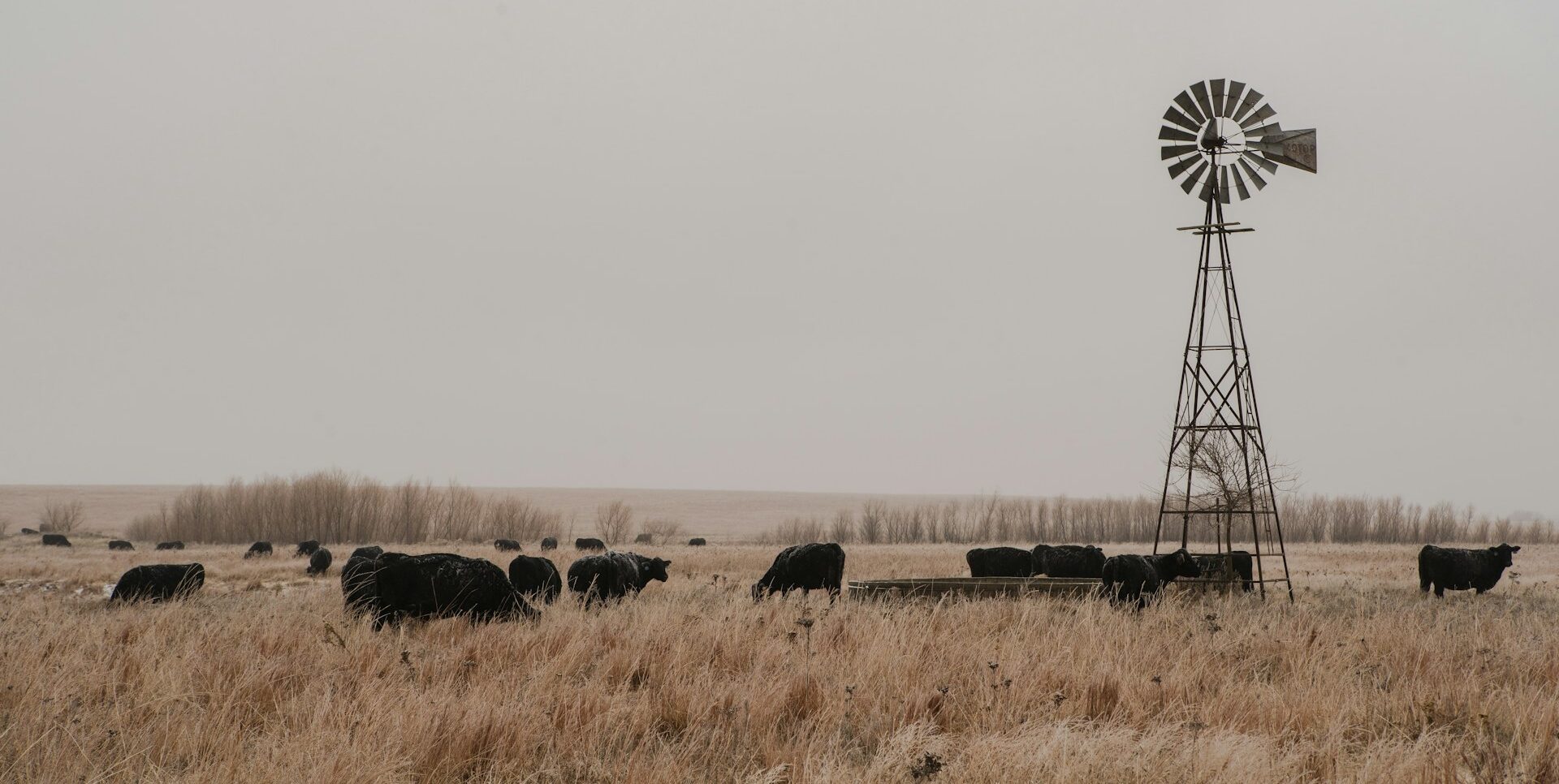 How to Sell Land Fast in Kansas,