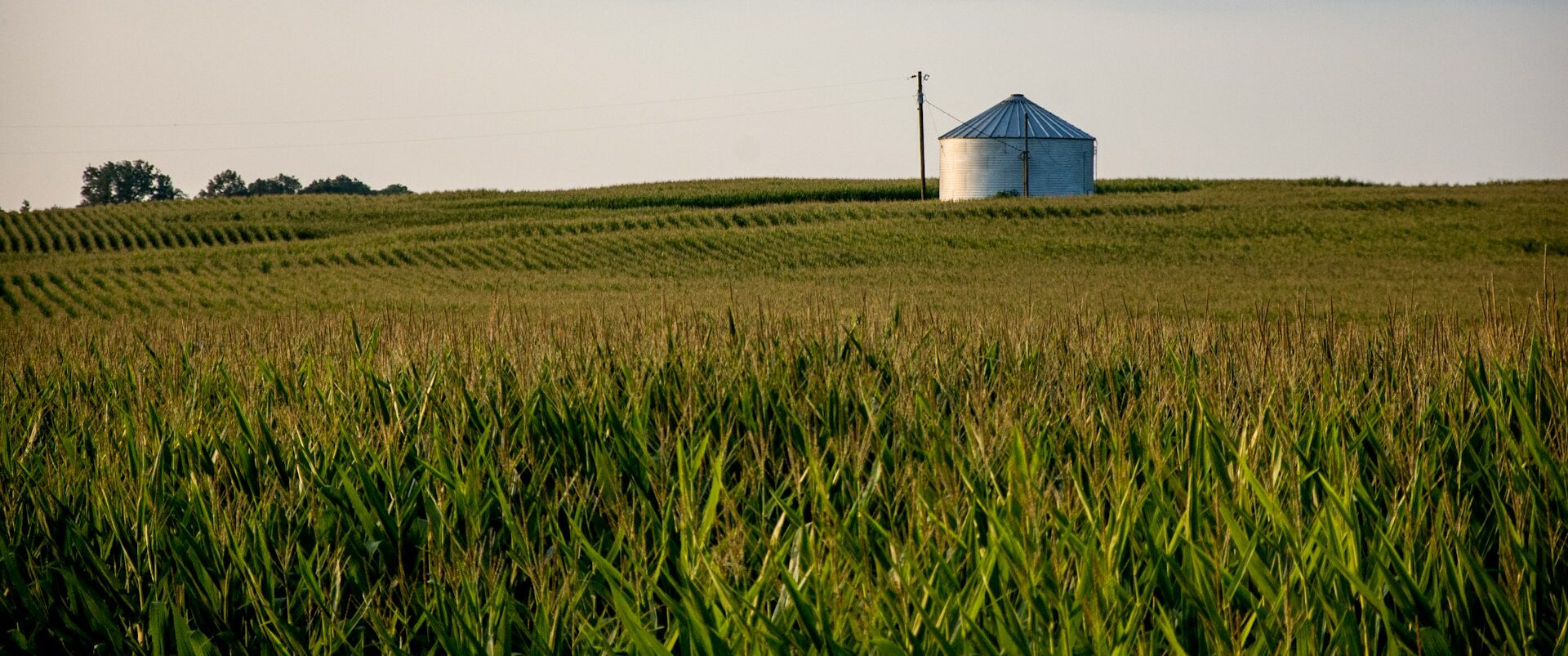 Sell Land for Cash in Kentucky, USA: Your Quick Guide