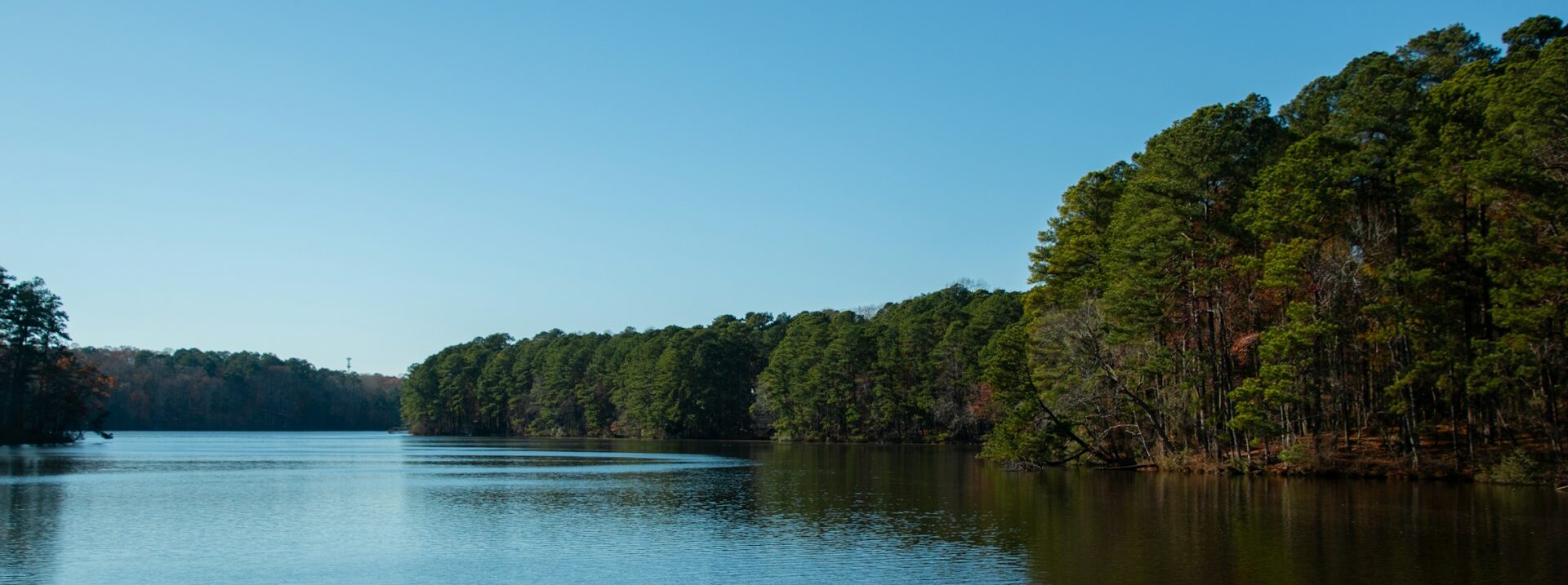 How to Sell Land Fast in South Carolina, USA