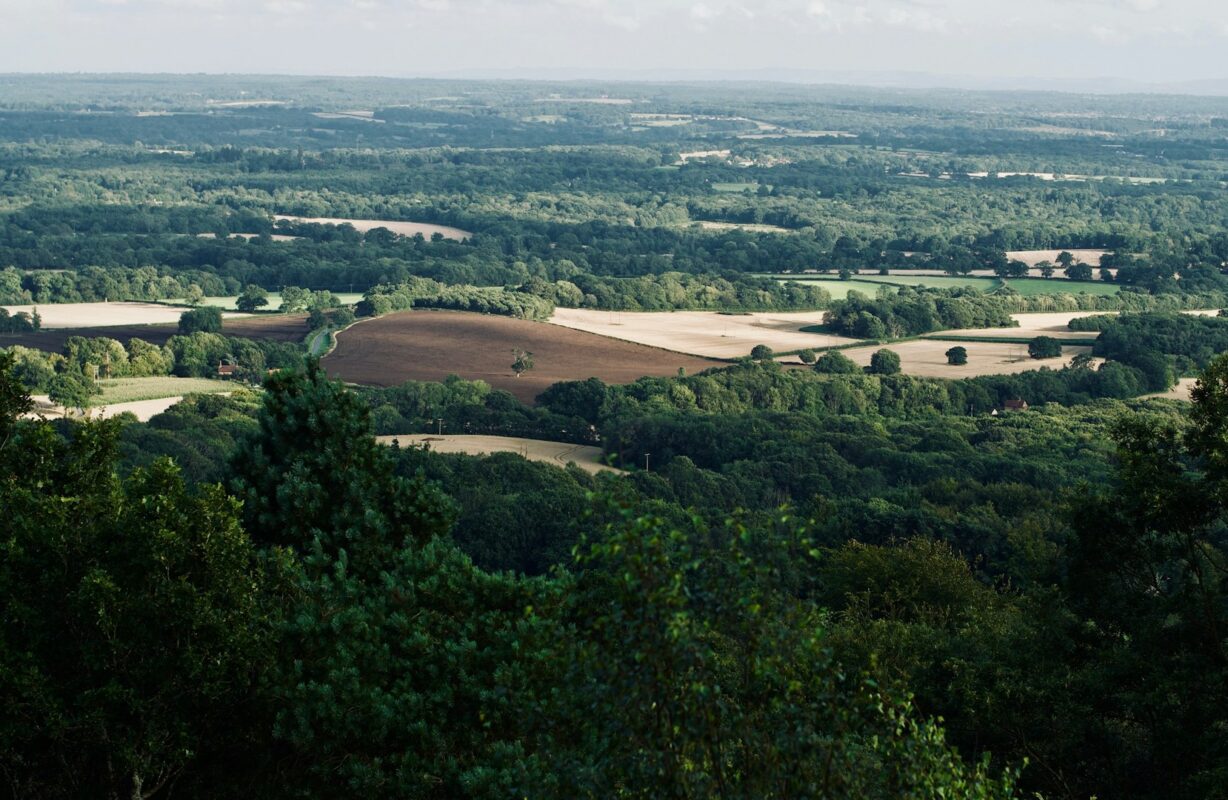 How to Sell Land Fast in Virginia