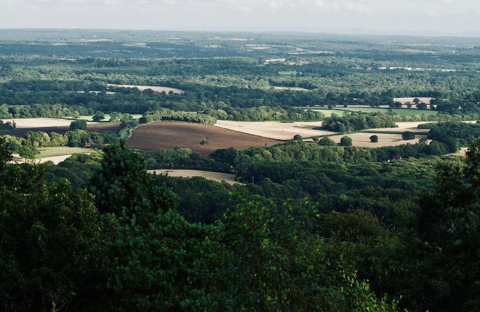 How to Sell Land Fast in Virginia
