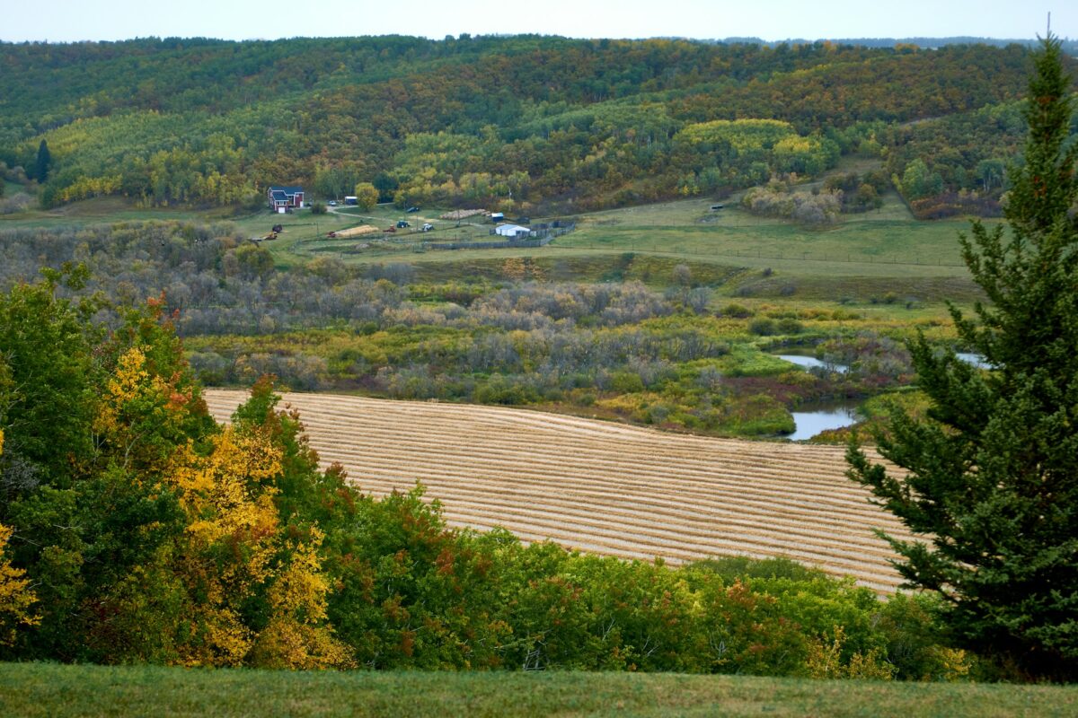 How to Sell Land Fast in Wisconsin