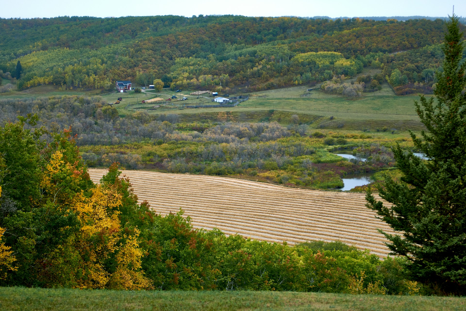 How to Sell Land Fast in Wisconsin