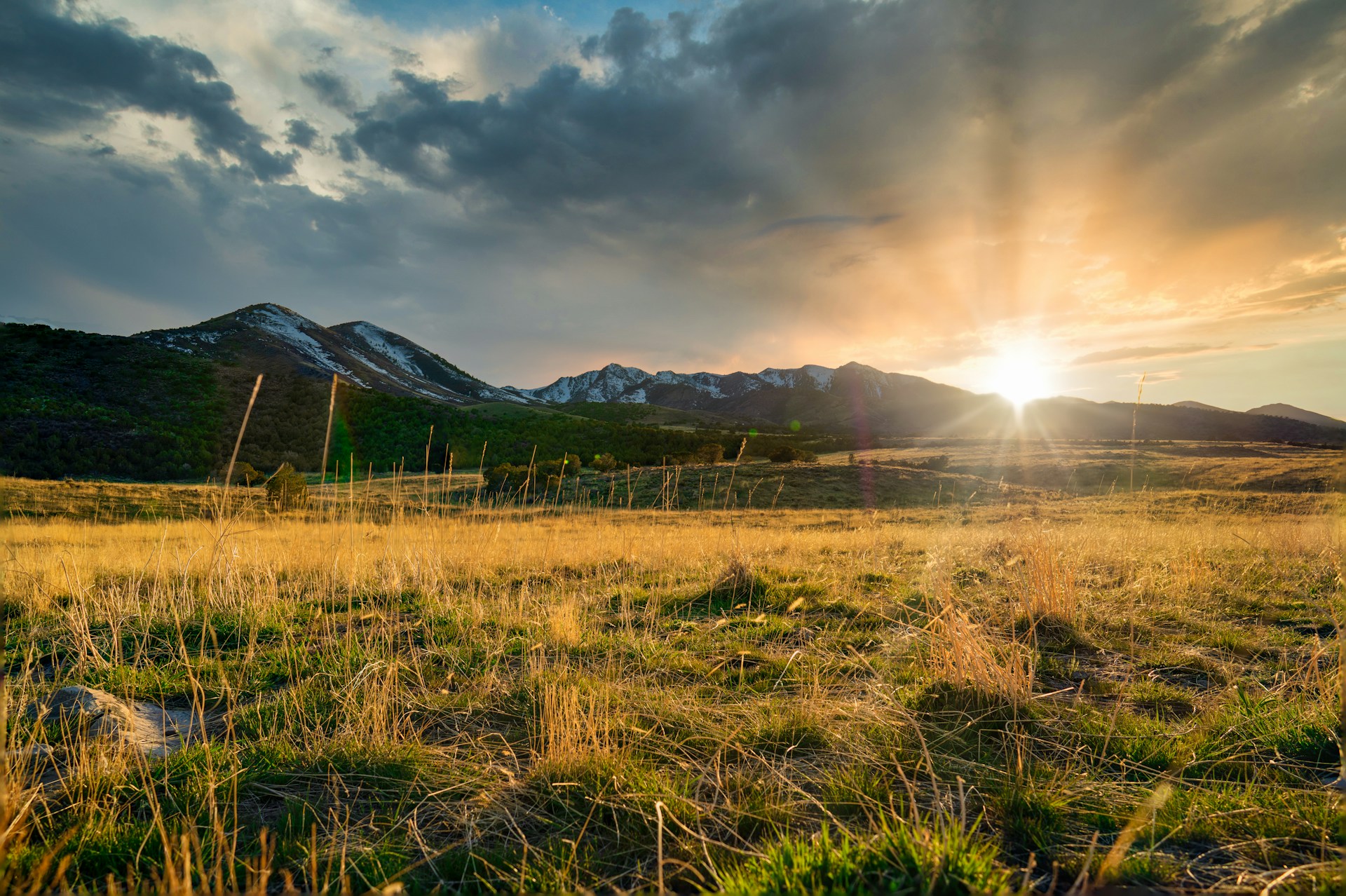 How to Sell Land By Owner Utah, USA: Your DIY Guide