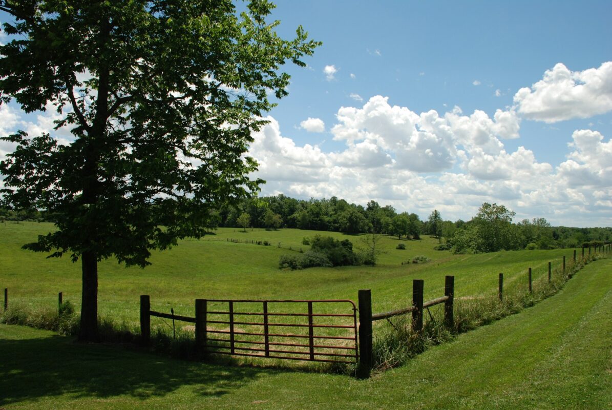 How to Sell Land By Owner Utah, USA: Your DIY Guide