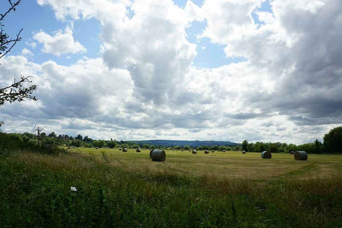 Need to Sell Land Fast in Ohio